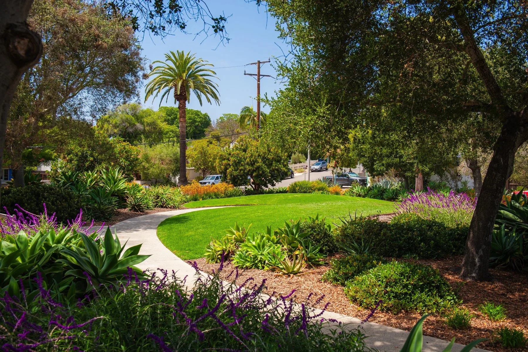 A curving lawn and garden walk framed by mature trees and purple flowers at Samarkand