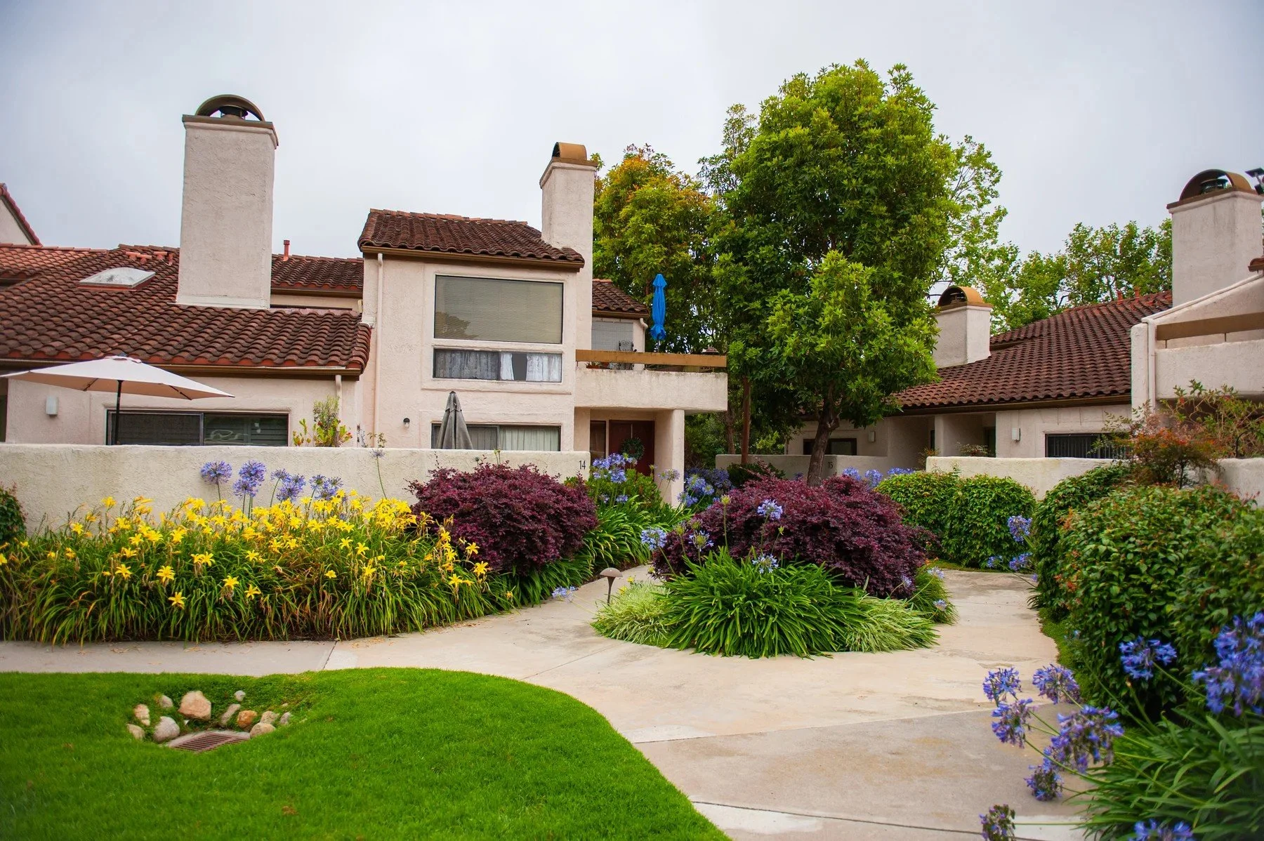 Yellow flowers and rounded shrubs beside a walkway to Villa Mesa homes