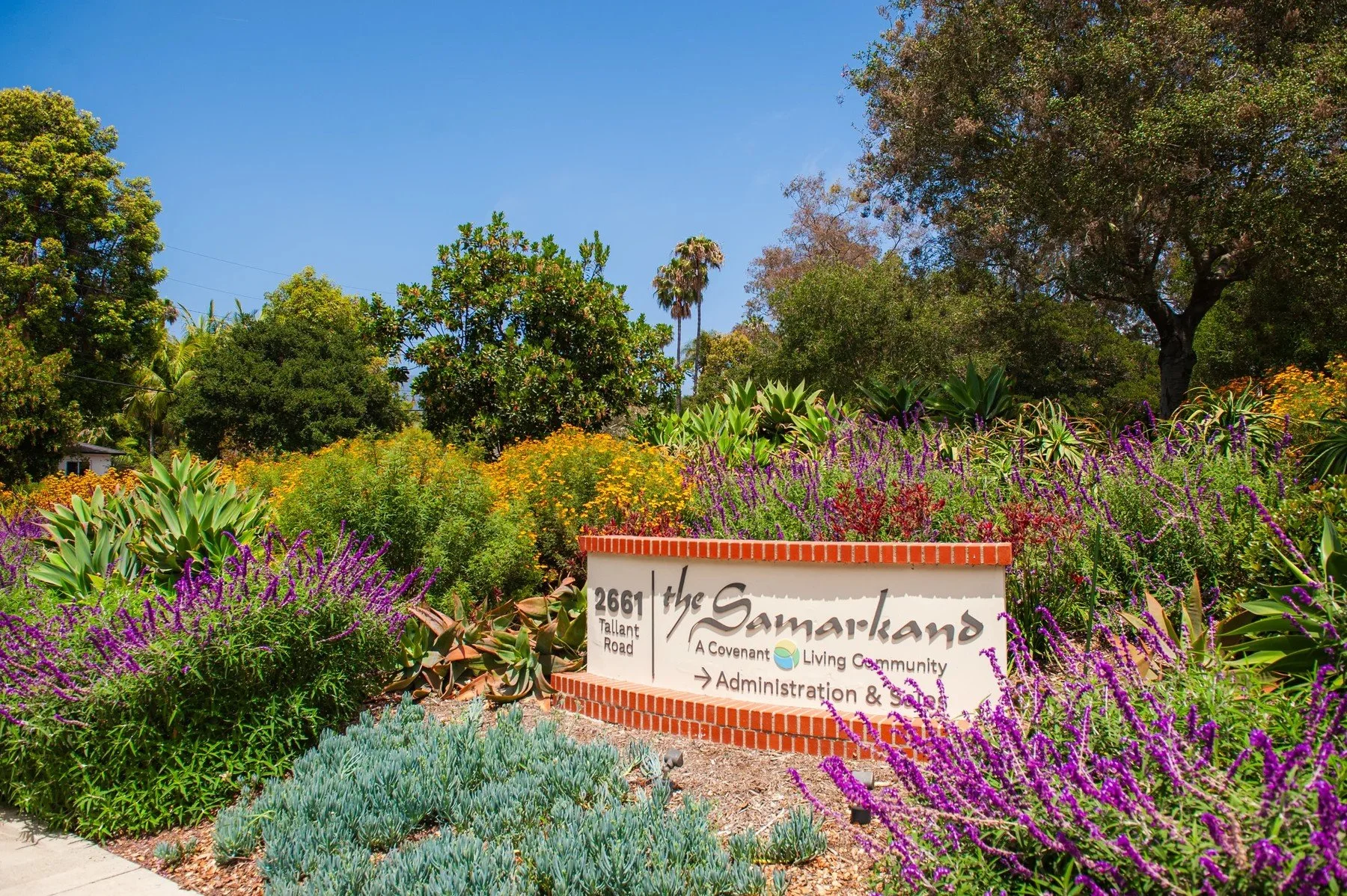 Samarkand monument sign surrounded by purple and yellow flowers and layered planting