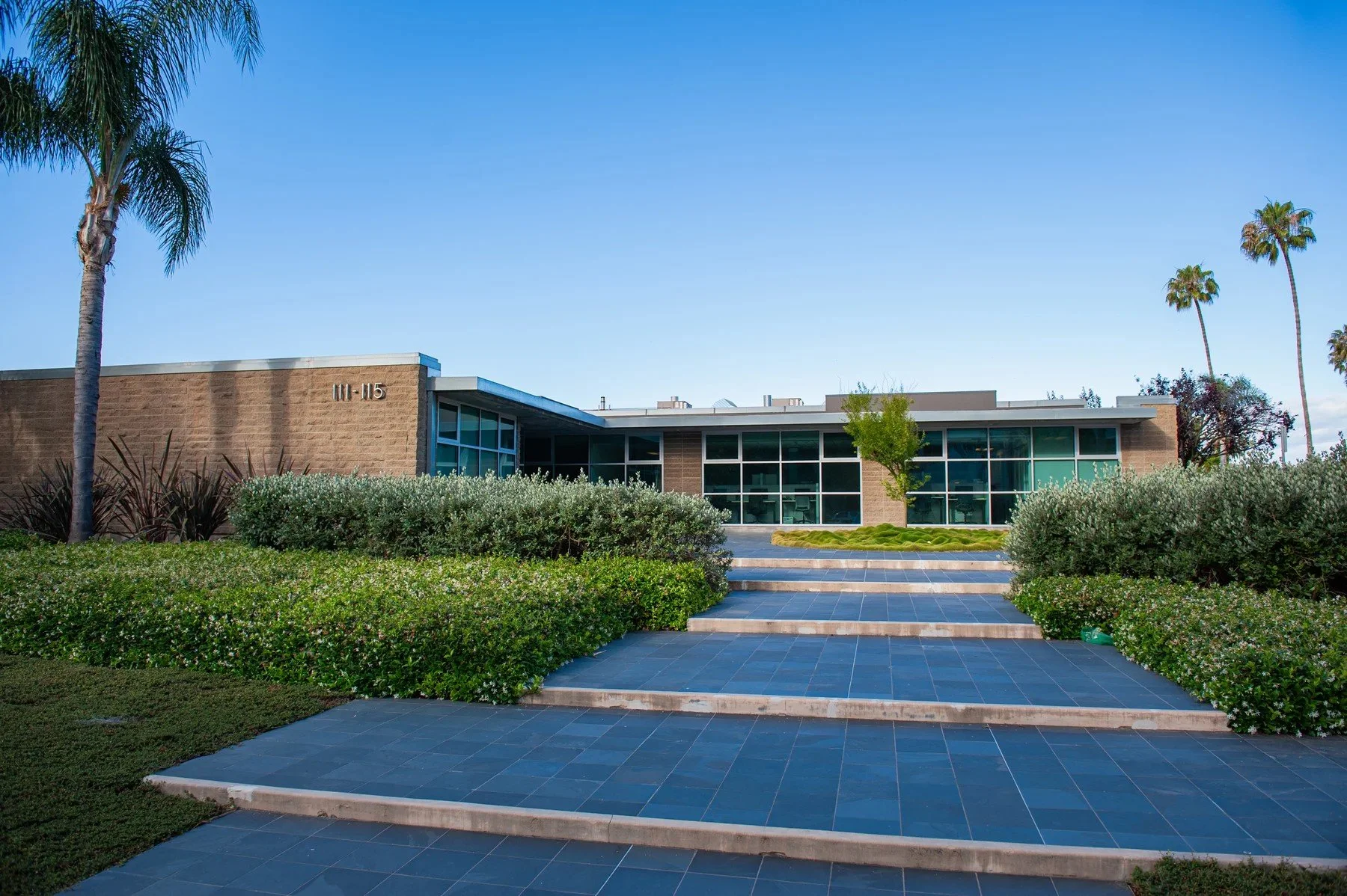 Broad entrance steps and low planting leading to 111 Castilian Drive