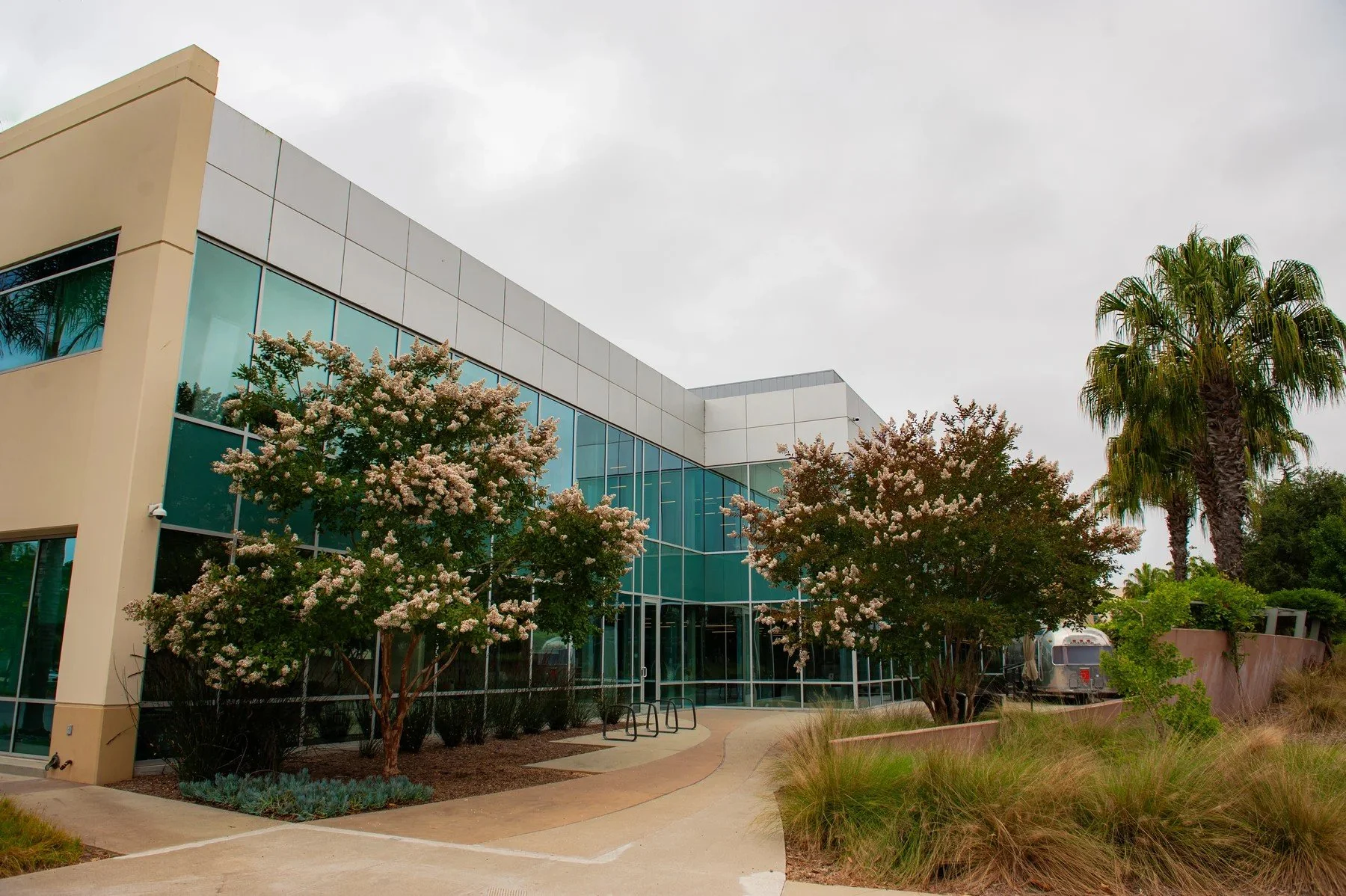 Flowering trees and planted borders beside a glass-fronted Cabrillo Business Park building