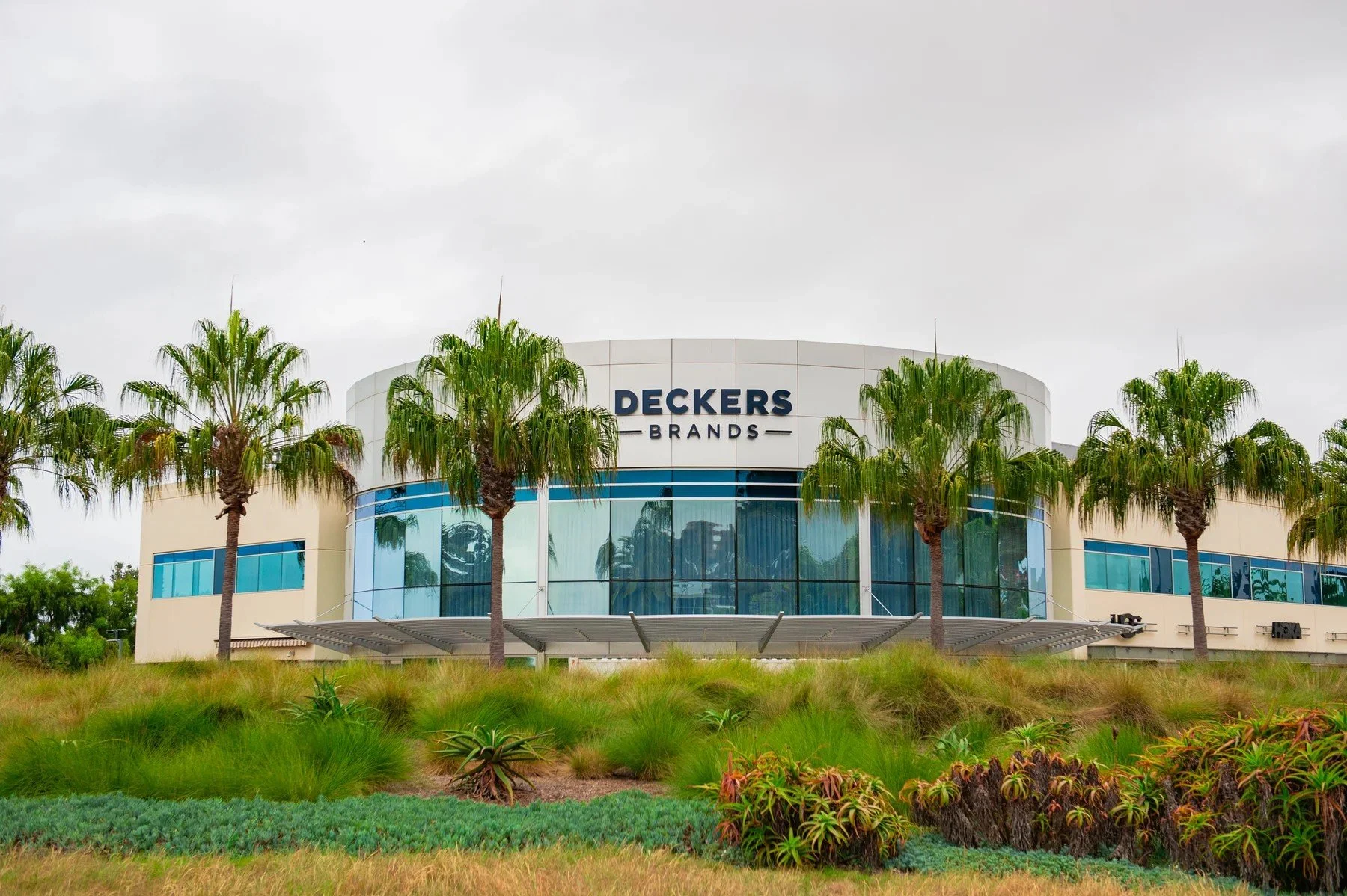 Deckers building framed by palms and ornamental grasses