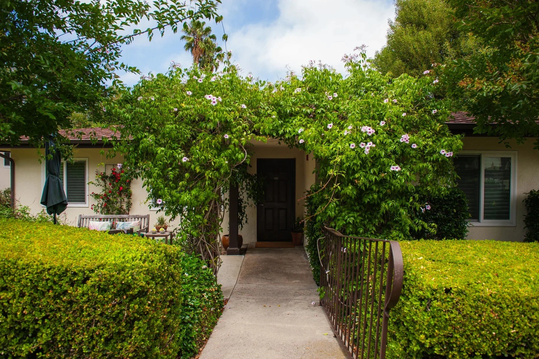 A flowering vine arch and clipped hedges framing a residential entrance at Samarkand