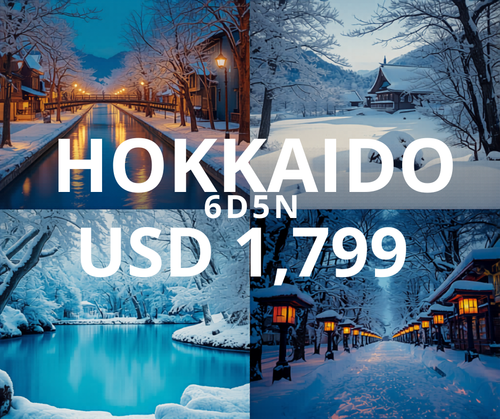 Hokkaido 6D5N (Dec 2026)