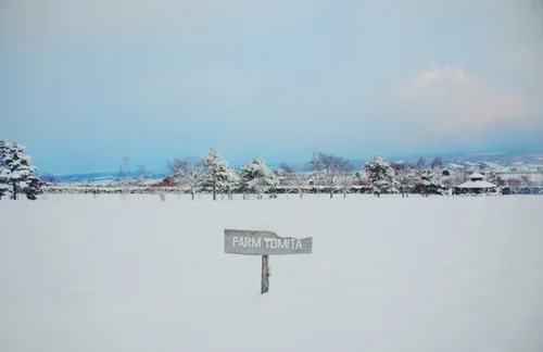 Experience Hokkaido 6D5N tour package from Manila