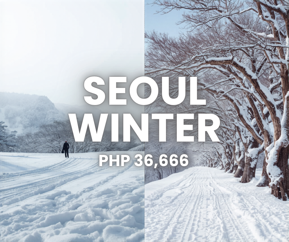 Manila – Seoul 6D4N Winter (2027)