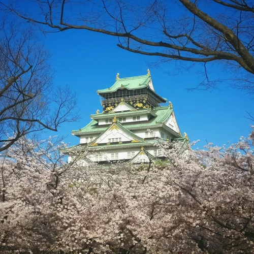 The Osaka Journey 5D4N tour package from Manila