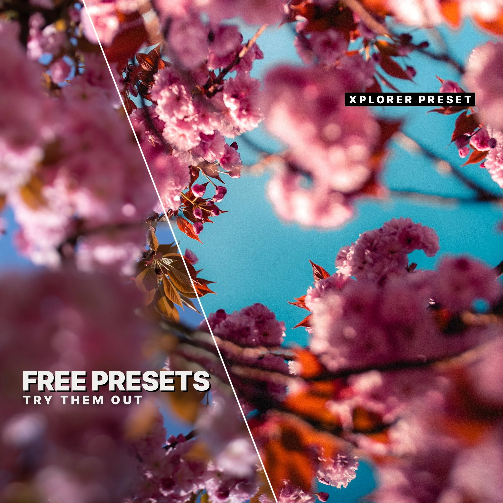 Free Lightroom Presets