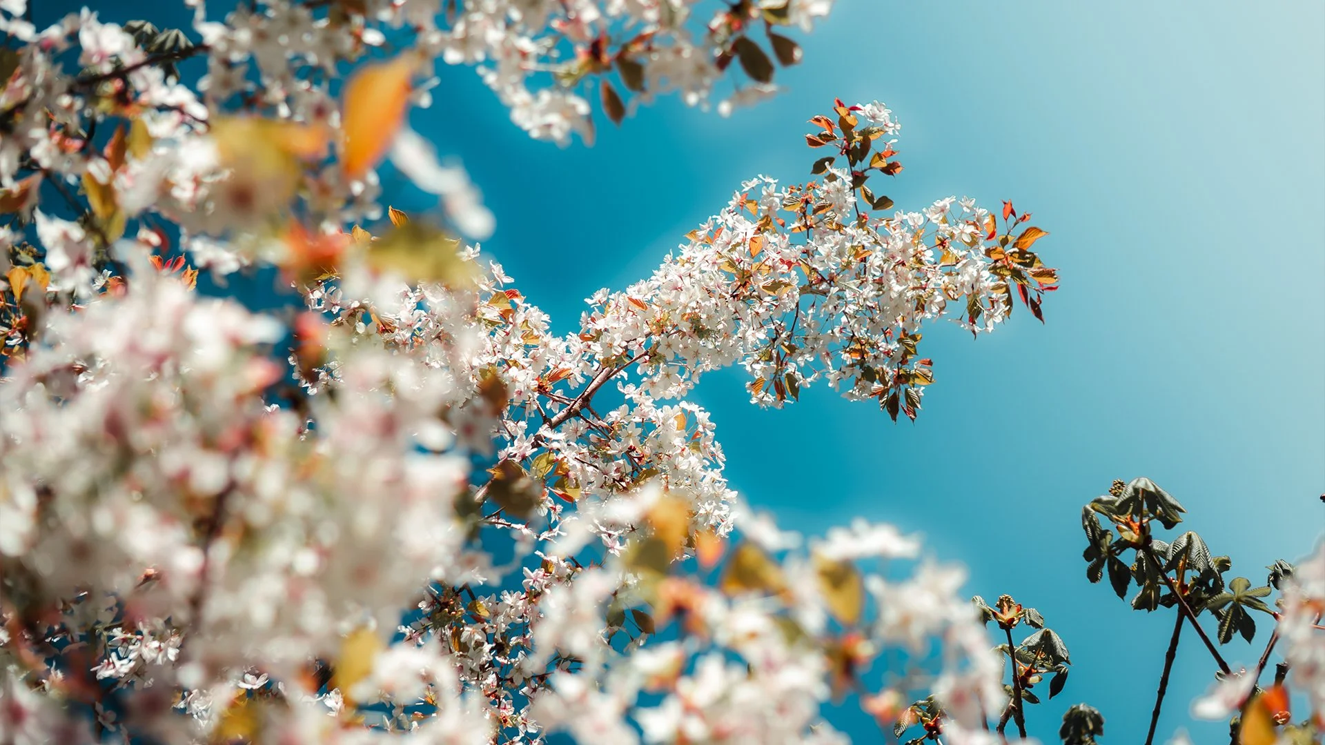 After preset example 3