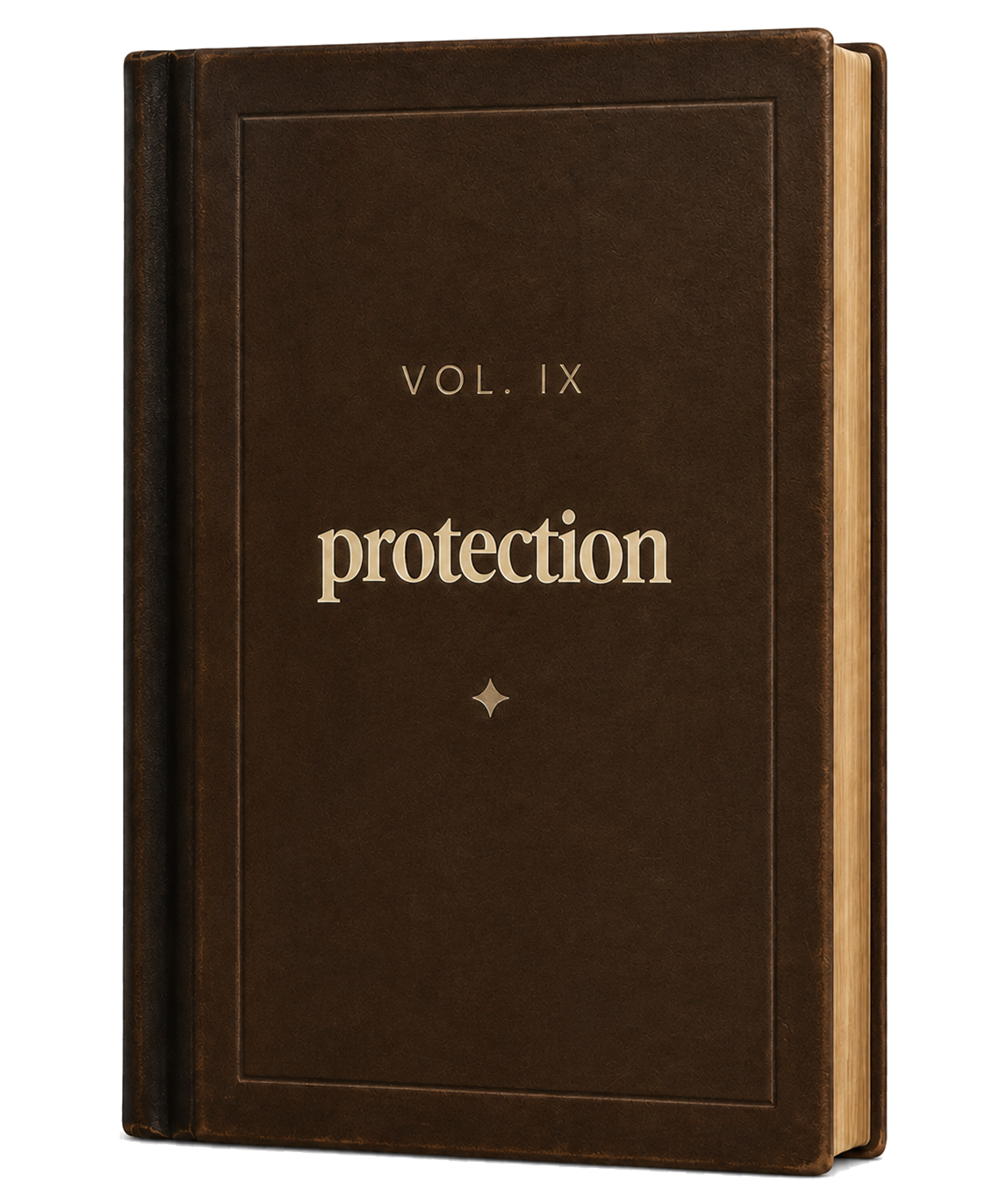 Vol. IX — Protection