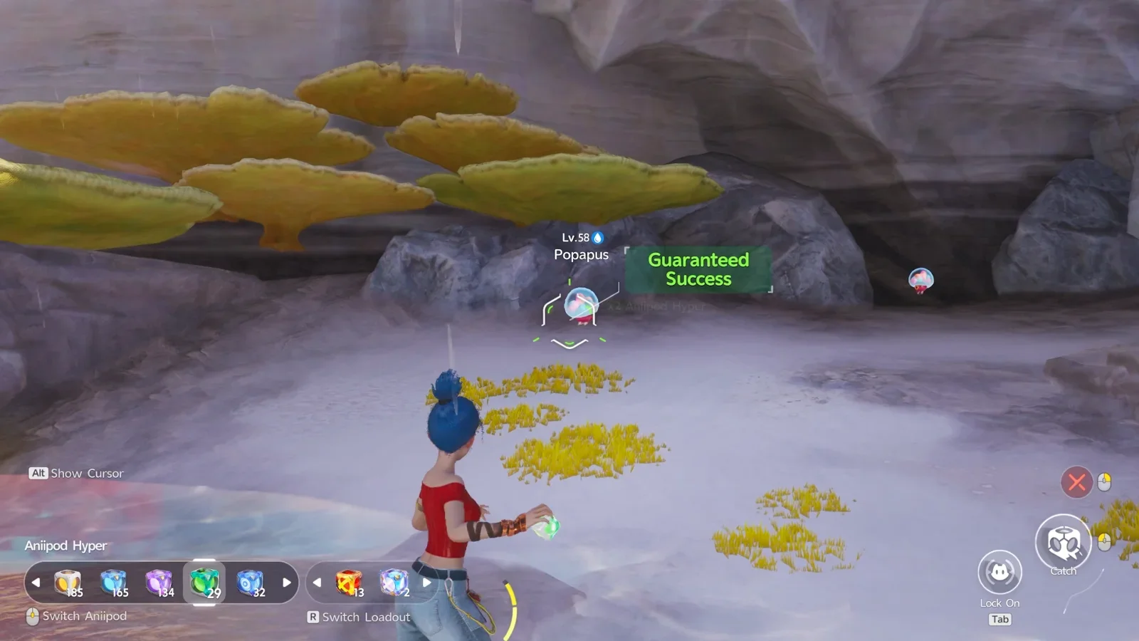 Aniimo - Popapus Location — Gamer Guru