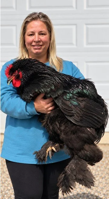 Jennifer Bryant in a blue shirt holding a black rooster.