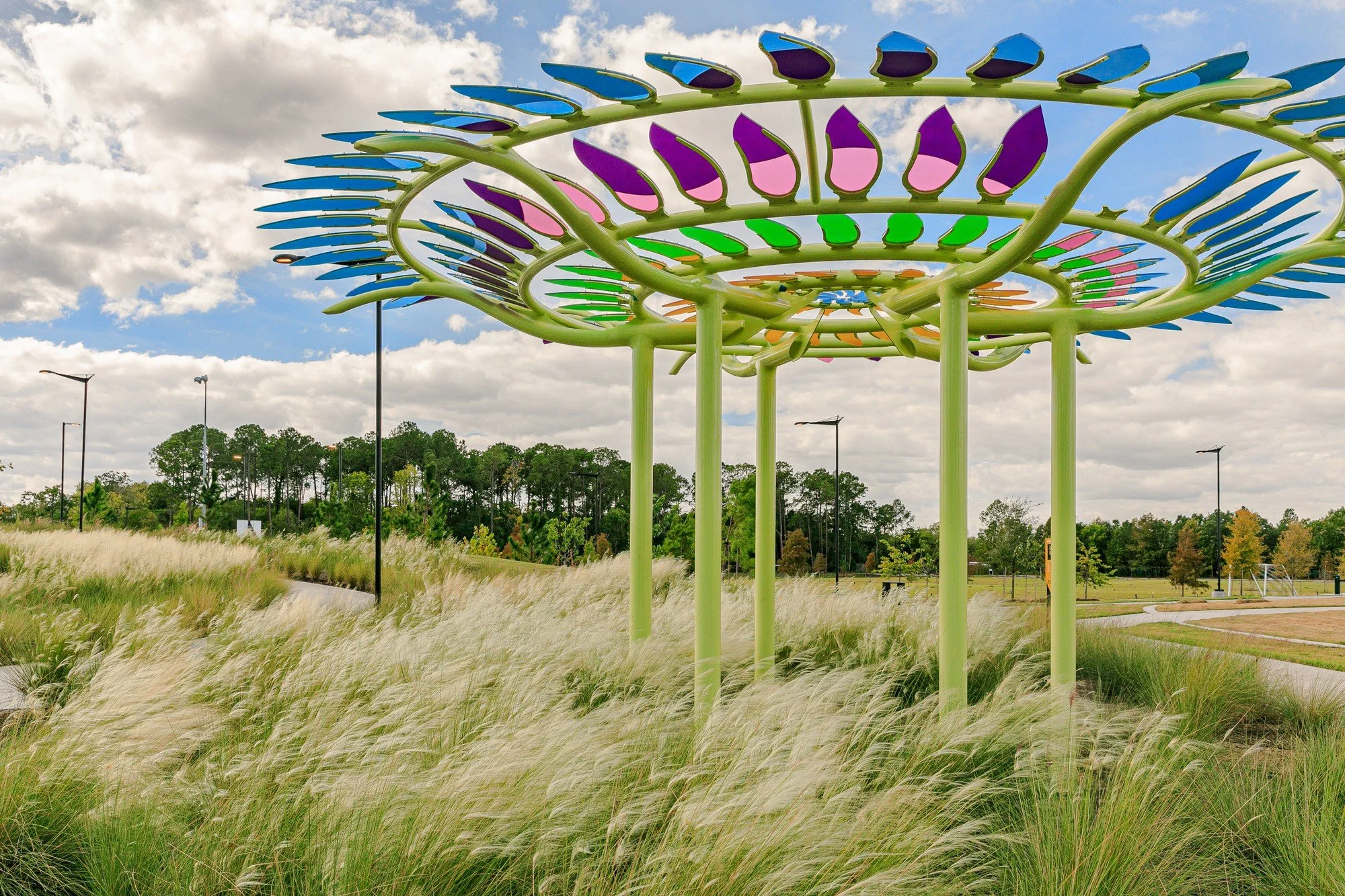 Shade Structure and Planting