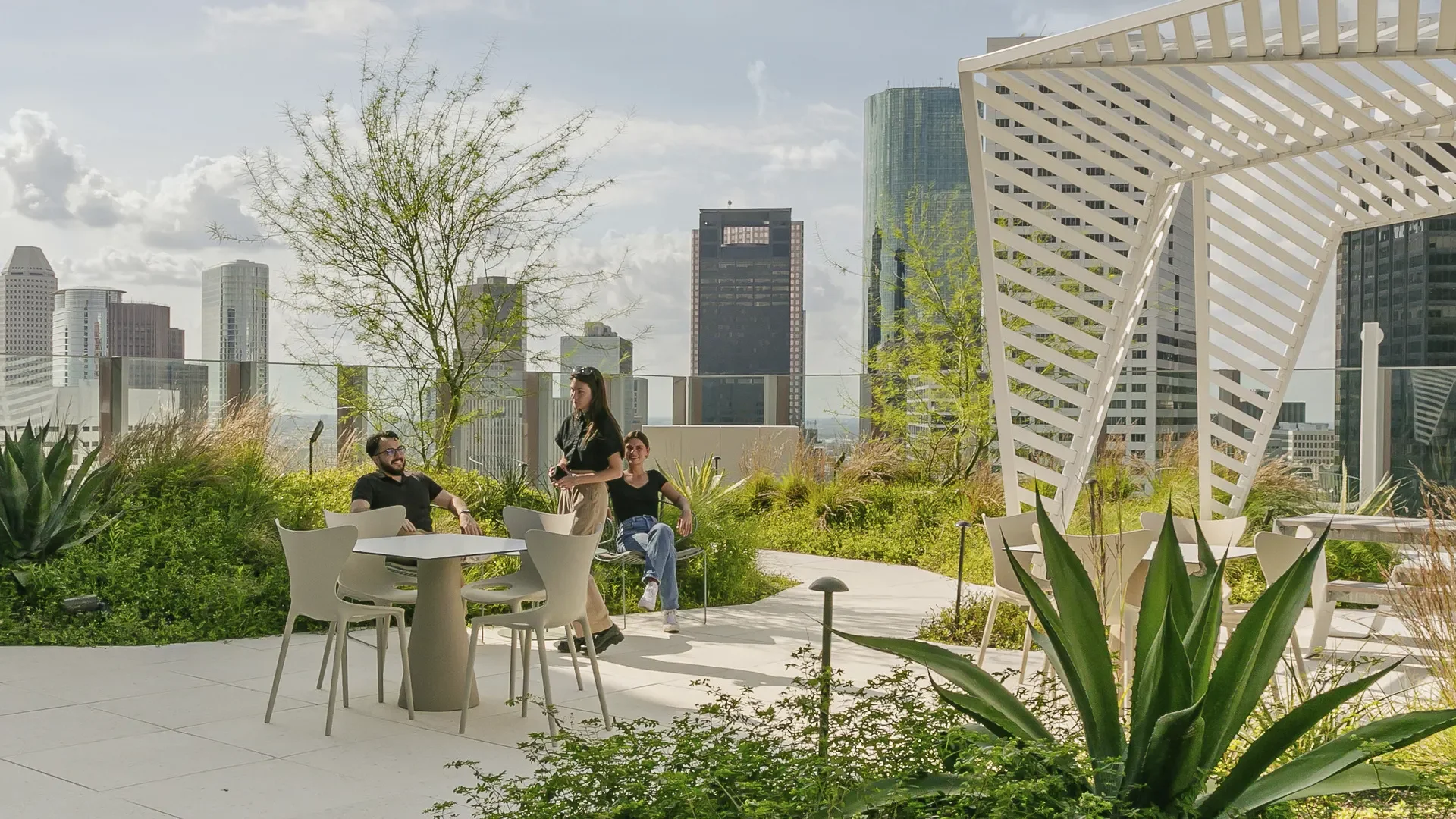Arid Garden