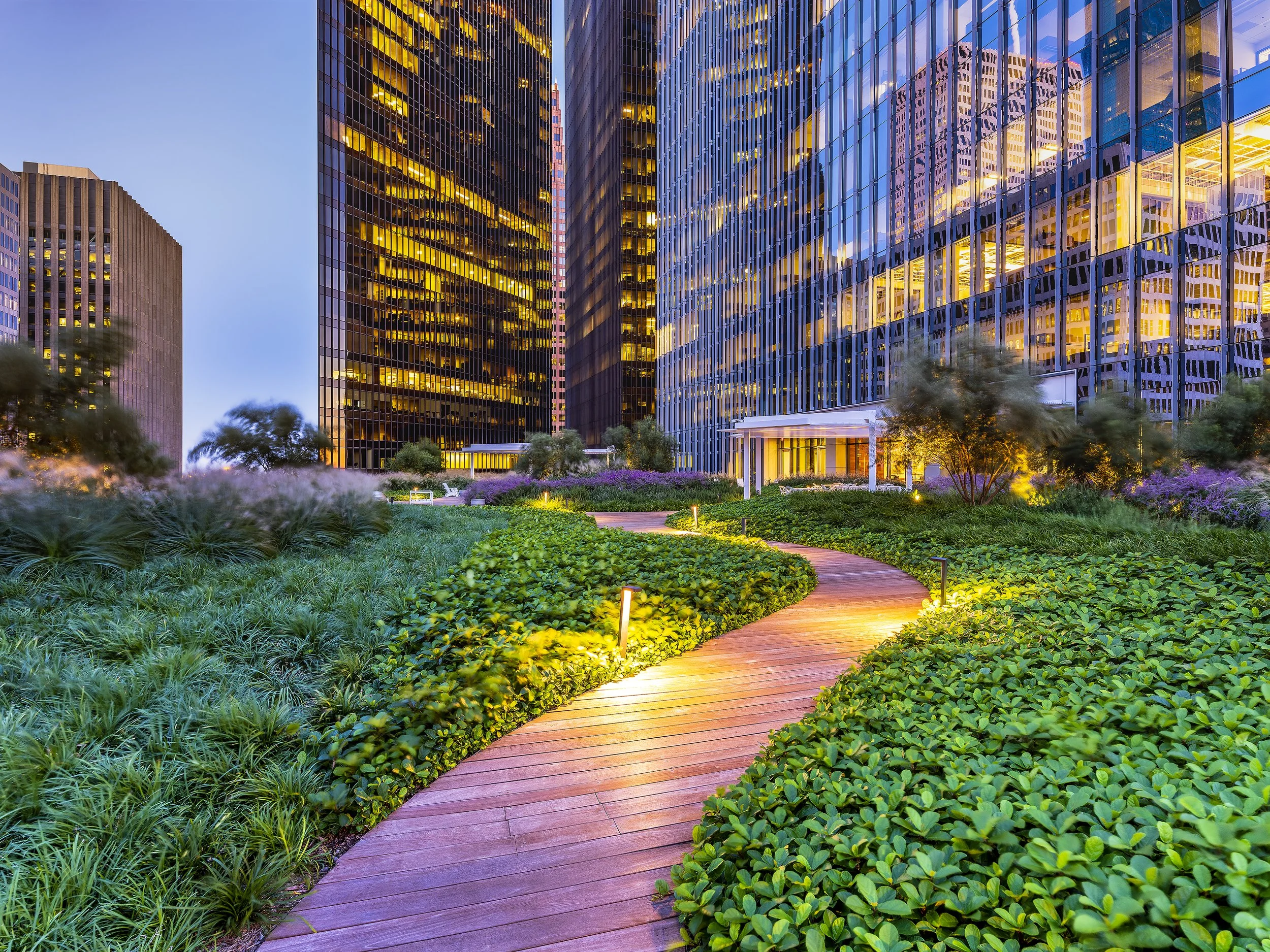 Roof Terrace