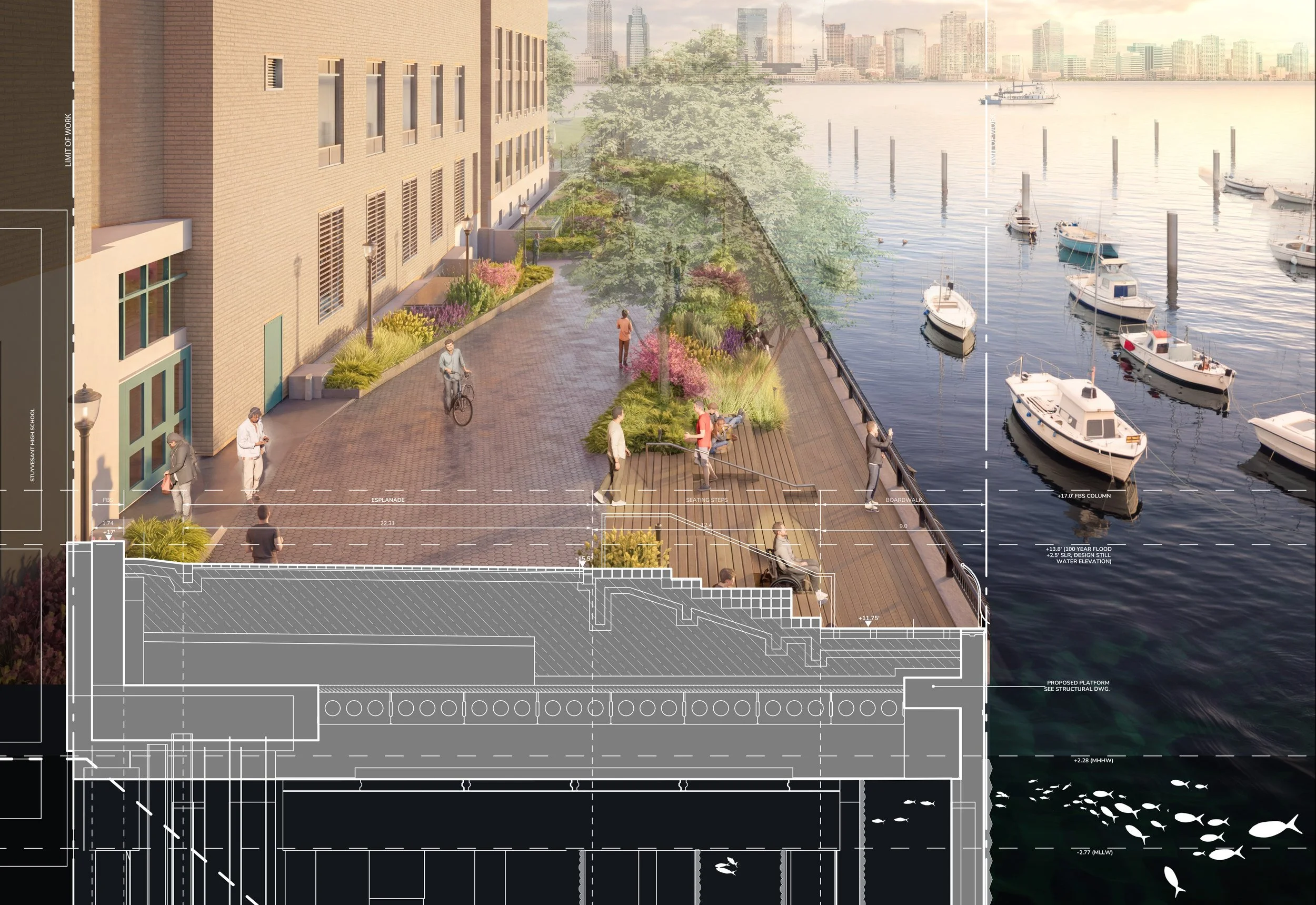 Park section perspective