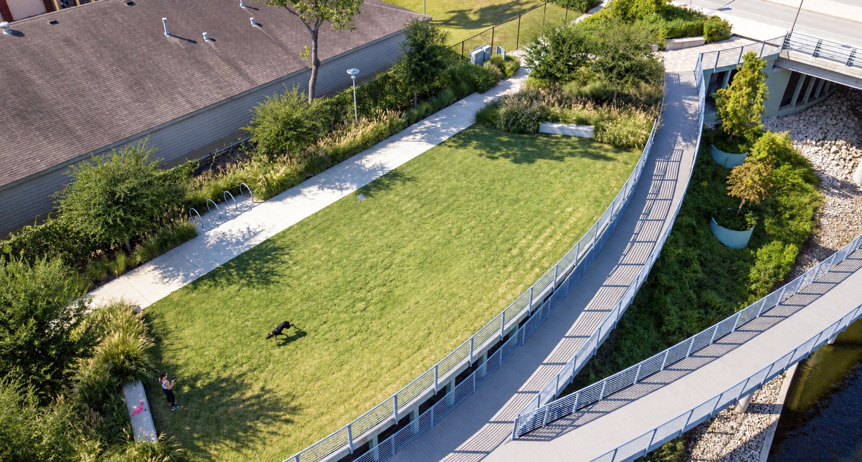Elevated Lawn