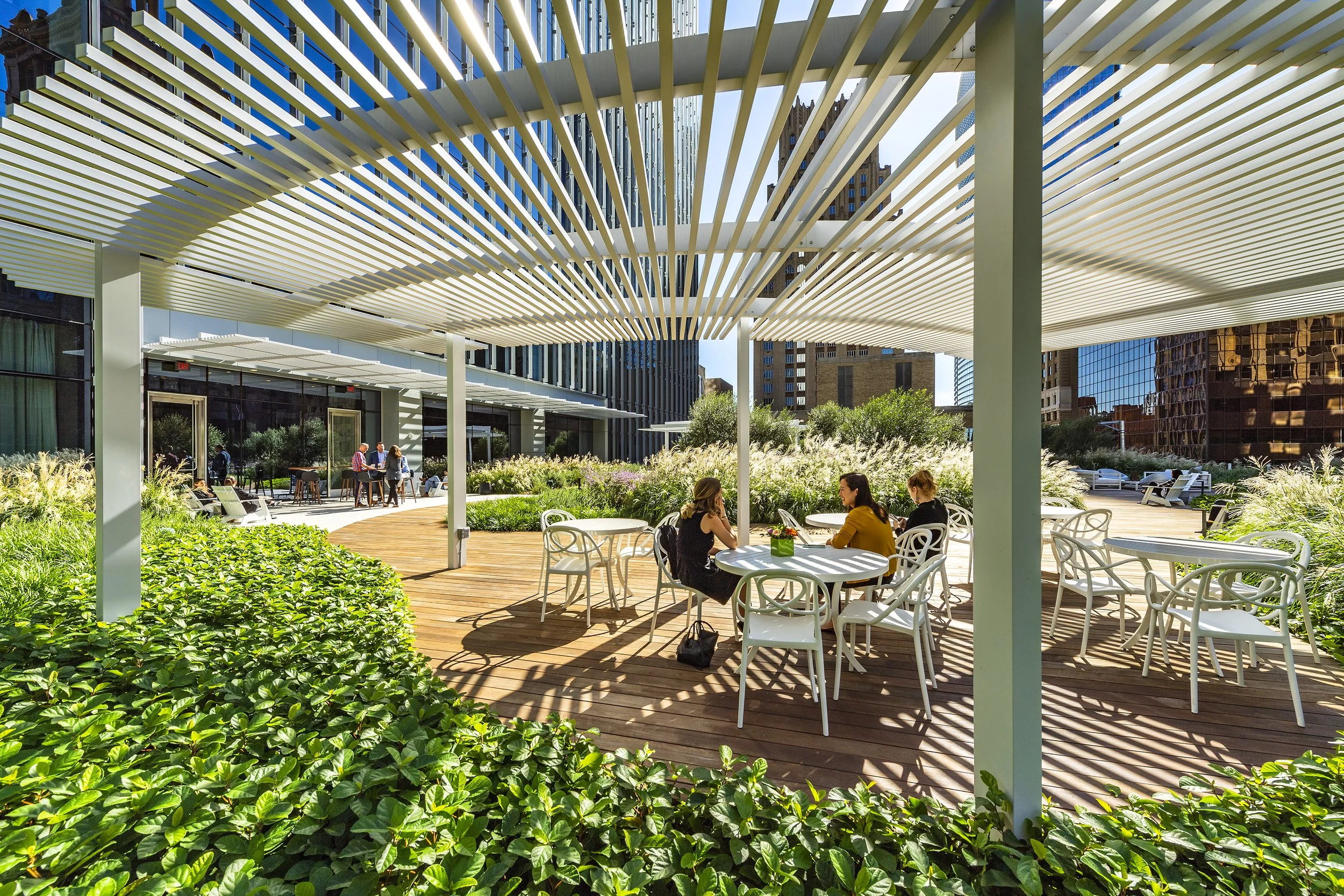 Roof Terrace