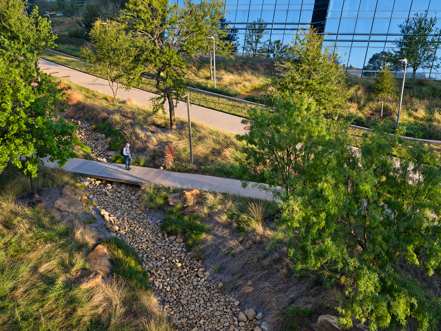 A path crossing within the dry-creek landscape.