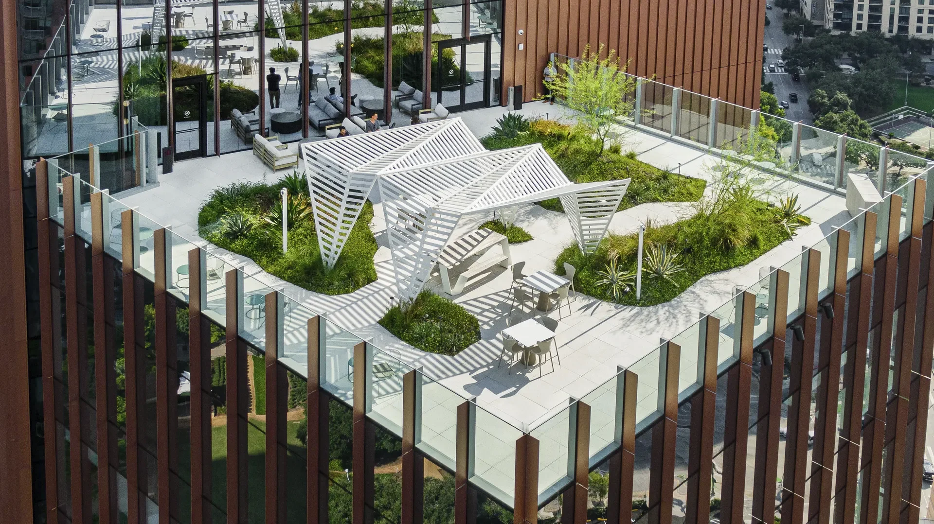Arid Garden