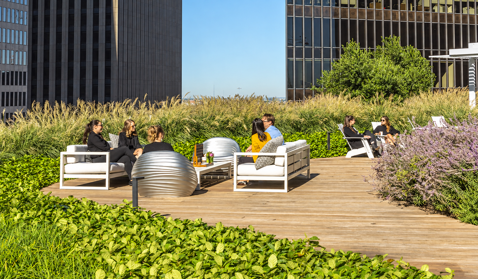 Roof Terrace