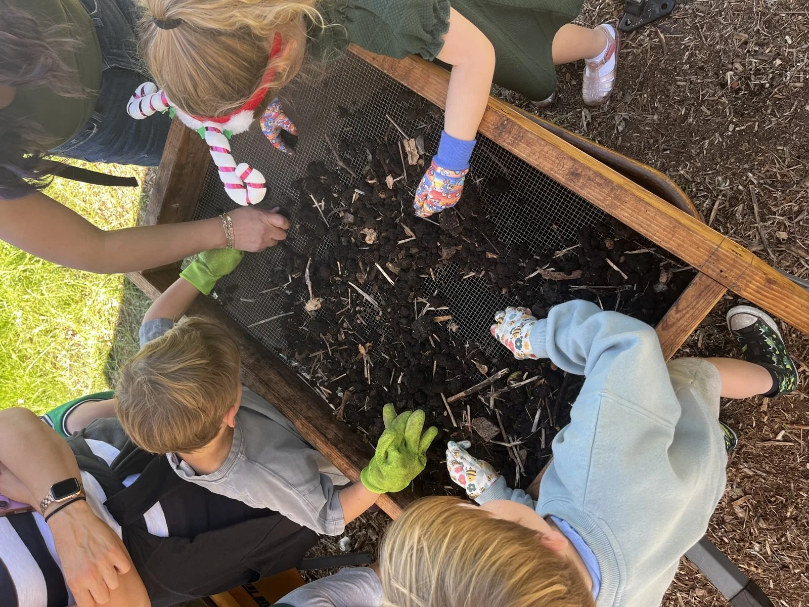 Kids sifting compost together in the garden