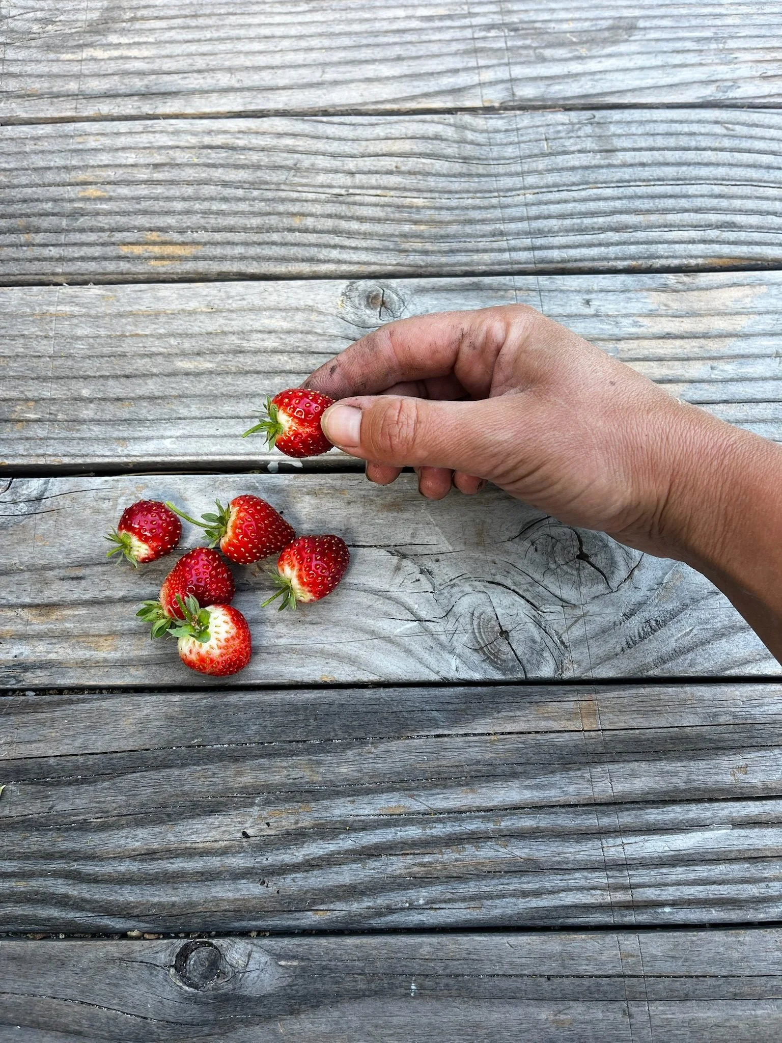 A handful of freshly picked strawberries on a wooden table