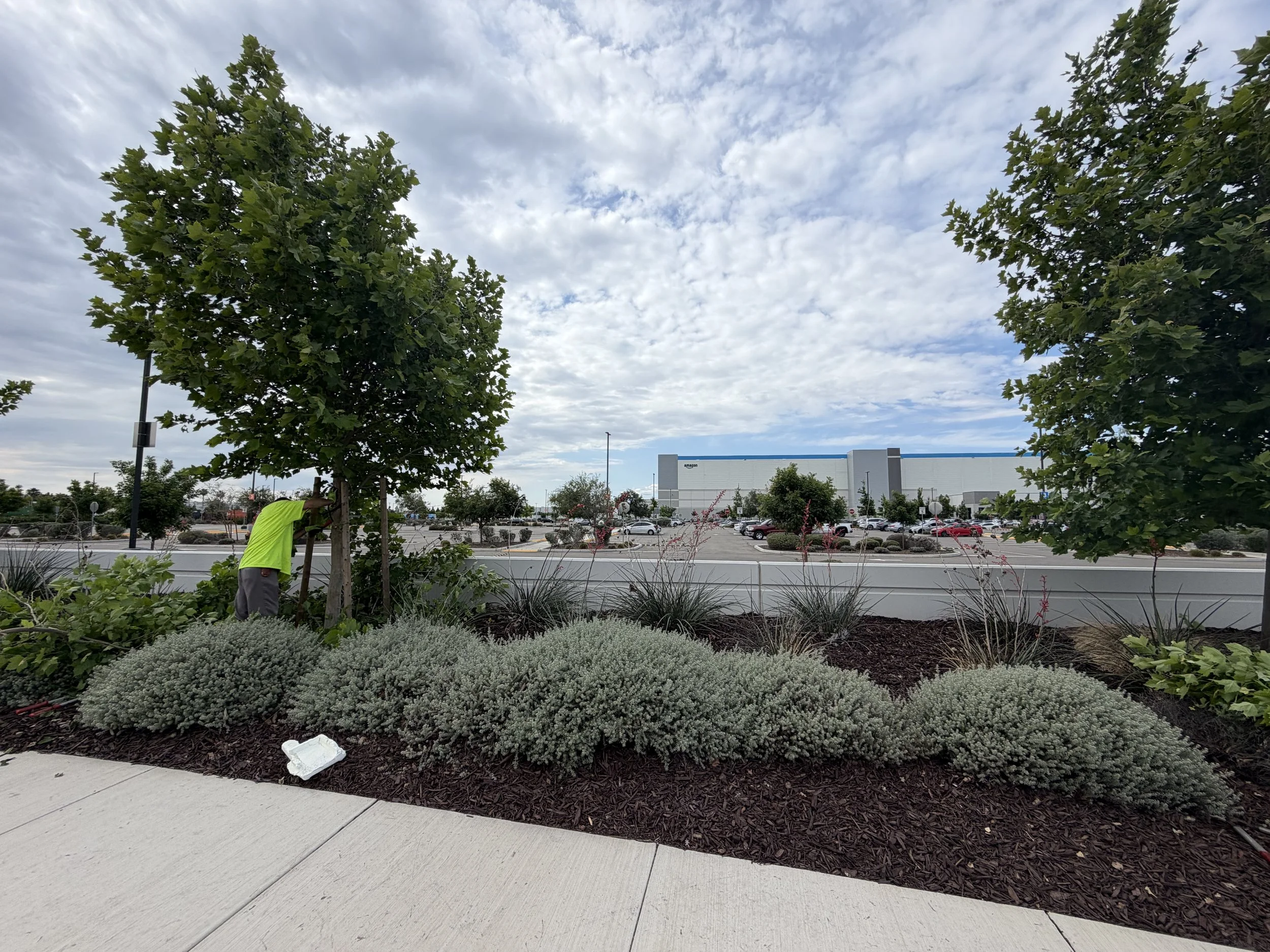 Commercial landscaping Modesto CA