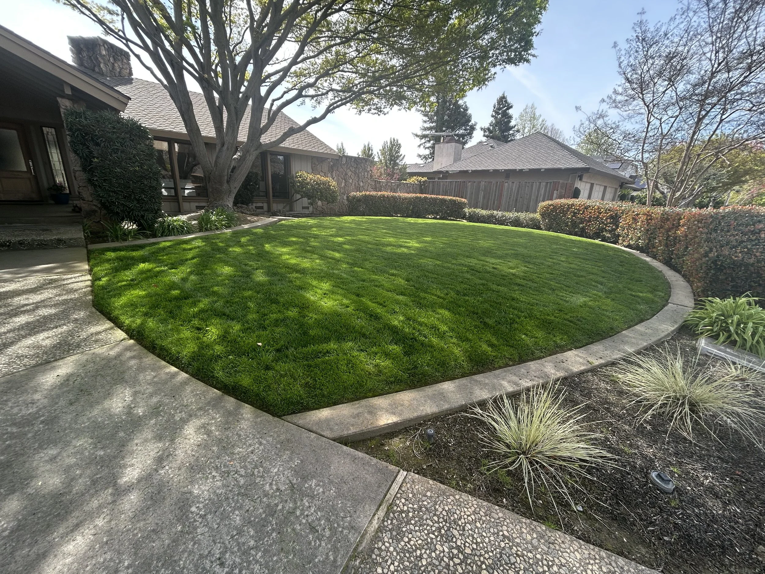 Drought tolerant landscaping Modesto CA