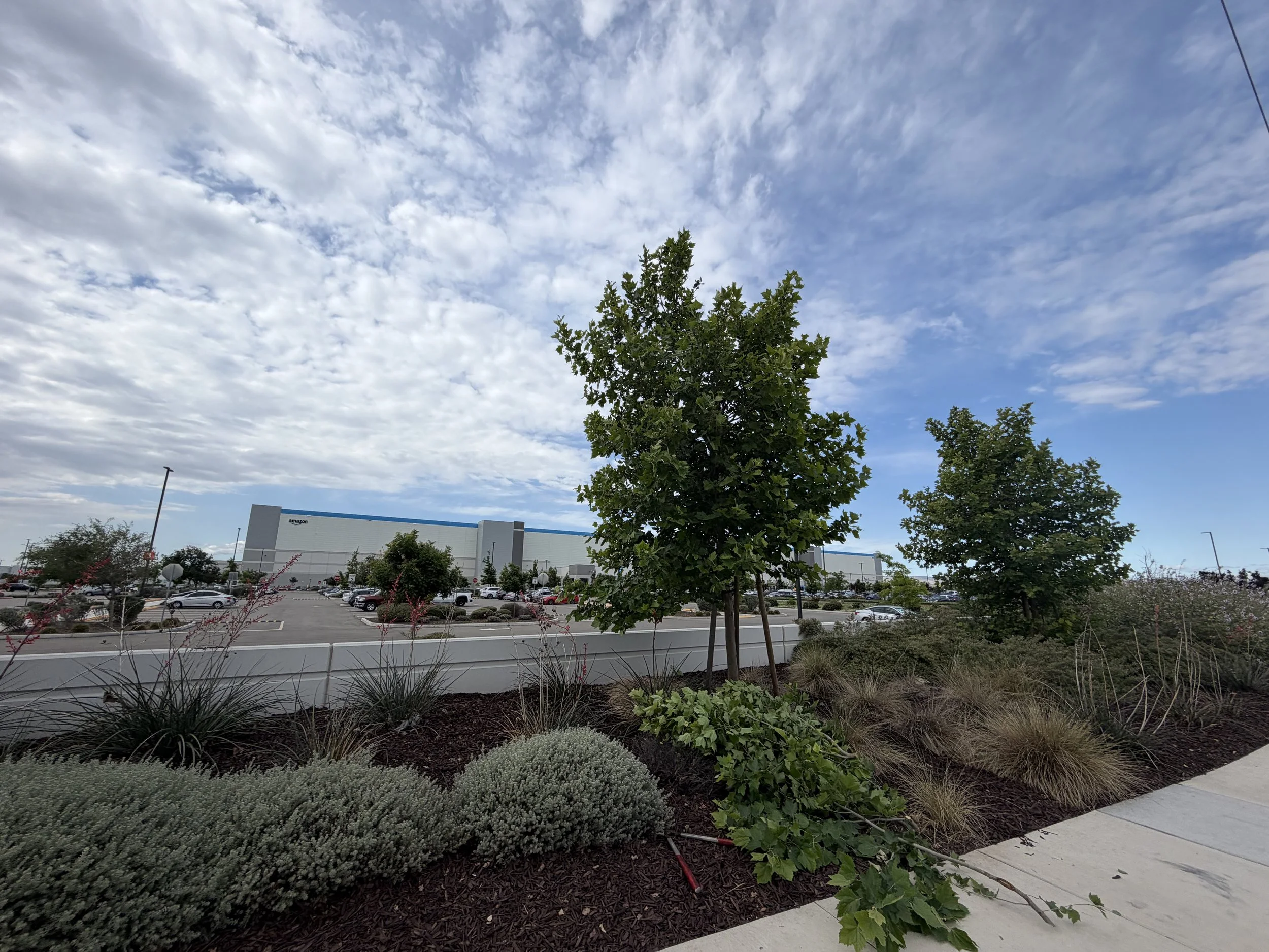 Exterior Solutions commercial landscaping Modesto CA