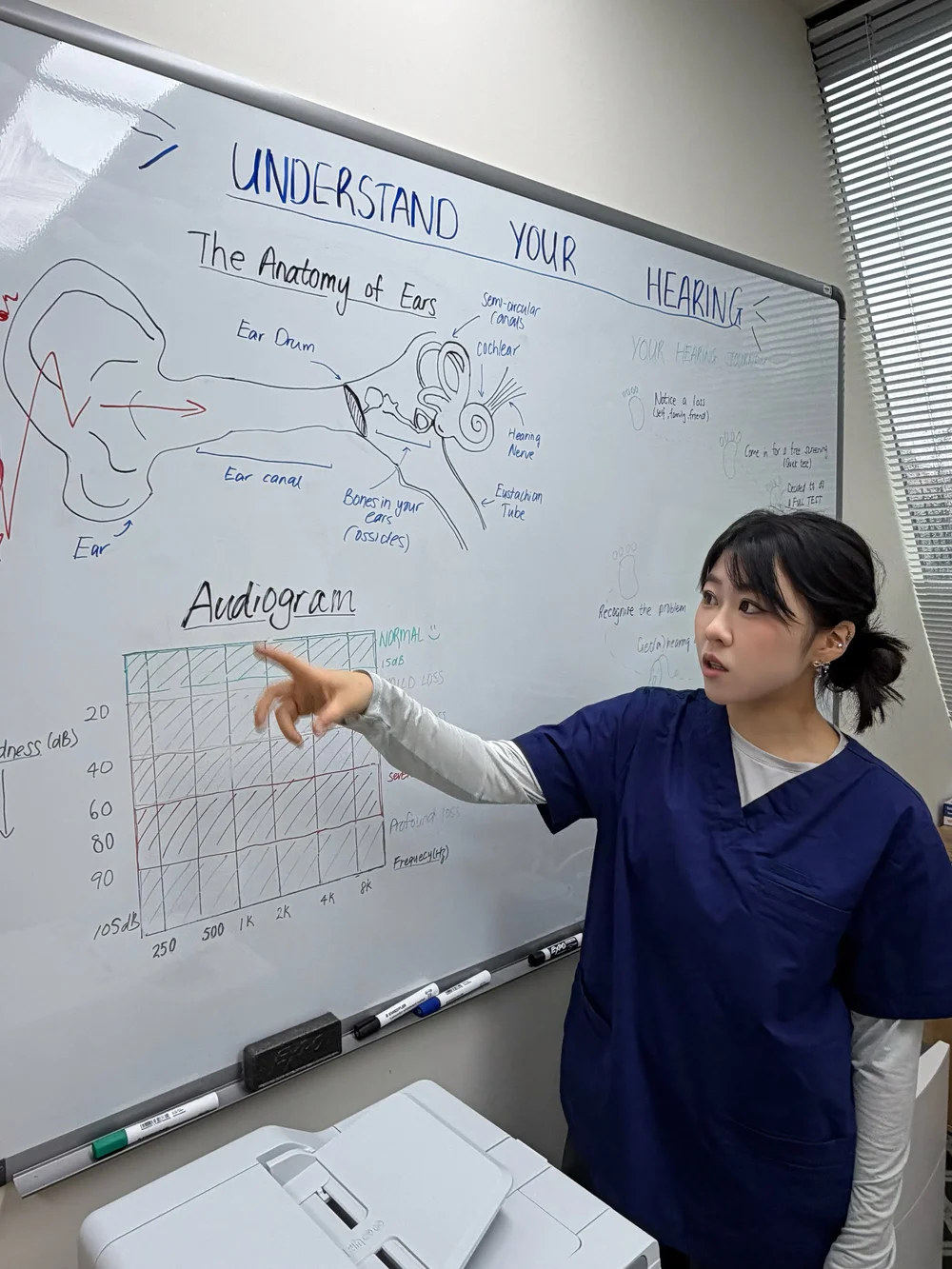 Shirley Wang explaining an audiogram on the clinic whiteboard