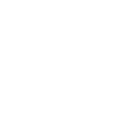 Vortex Optics logo