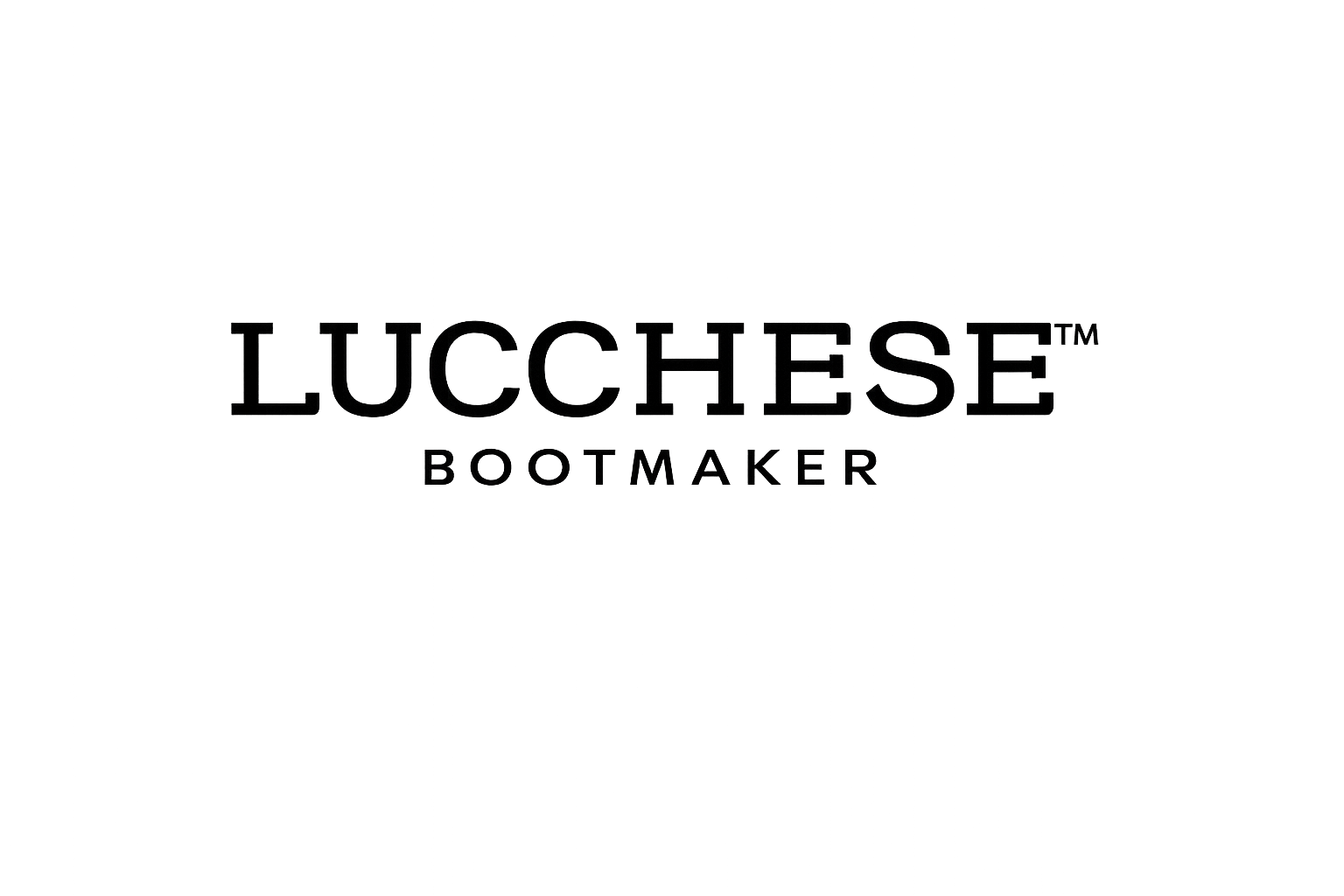 Client Logo 11