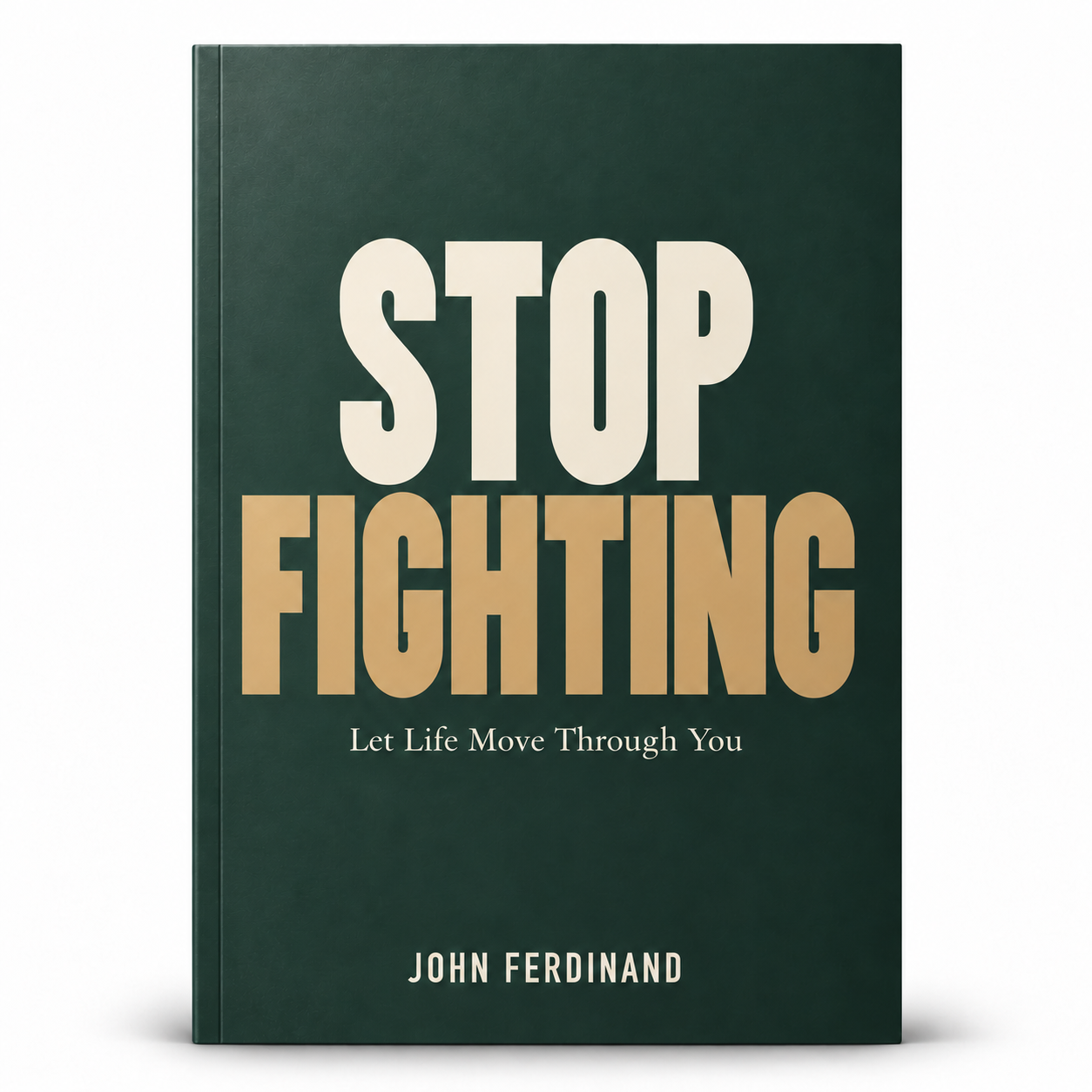 Stop Fighting — front cover