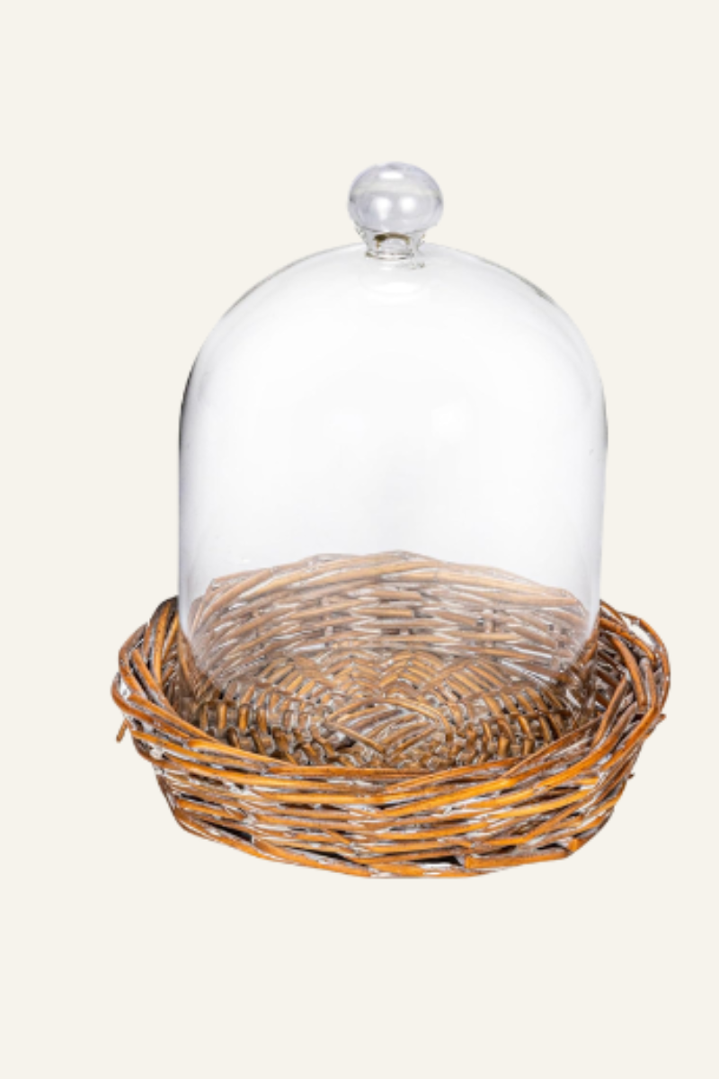 Glass Cloche