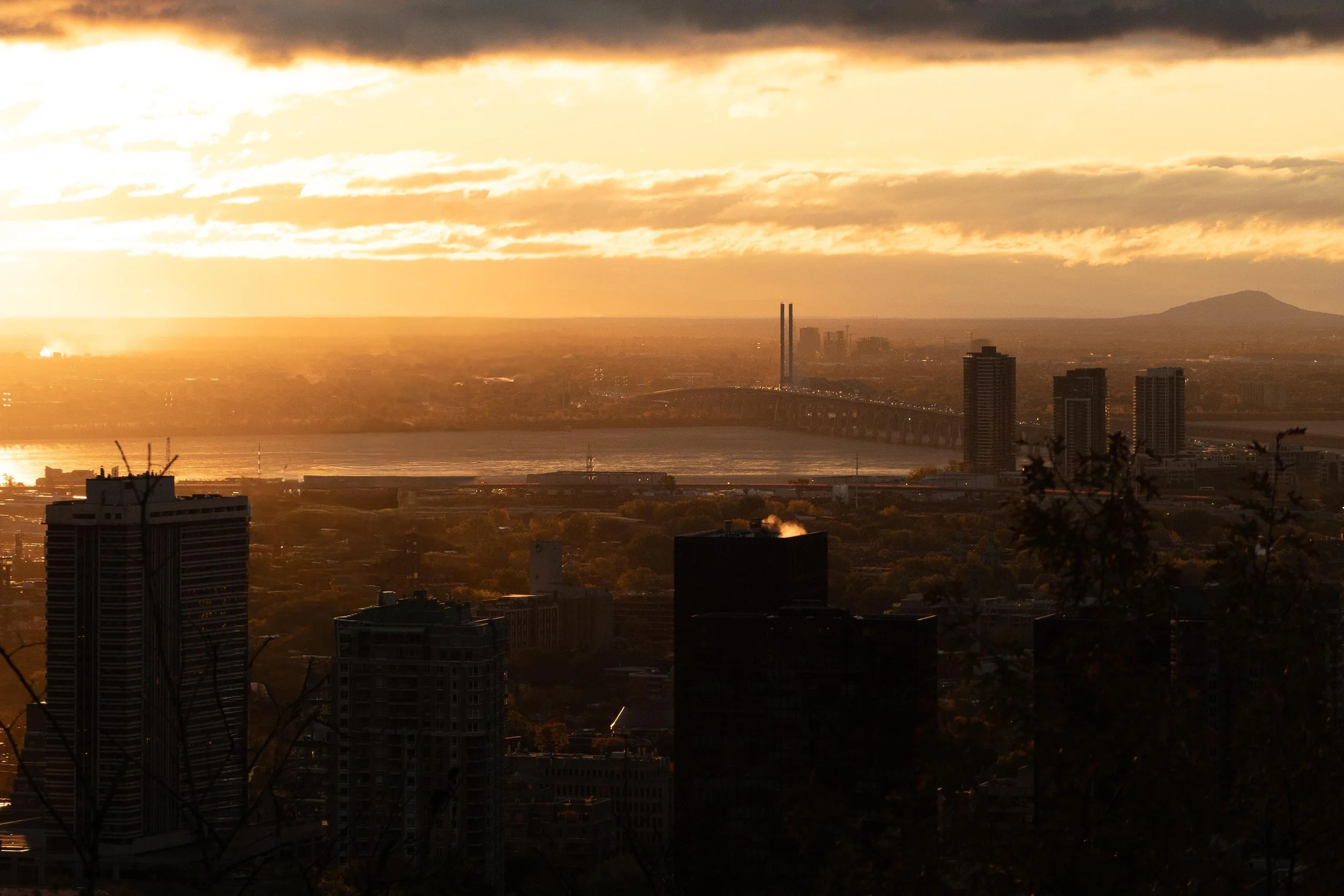 The Montréal skyline, river and Jacques Cartier Bridge at golden hour