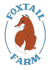 Foxtail