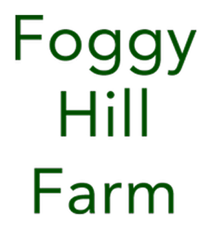 Foggy Hill