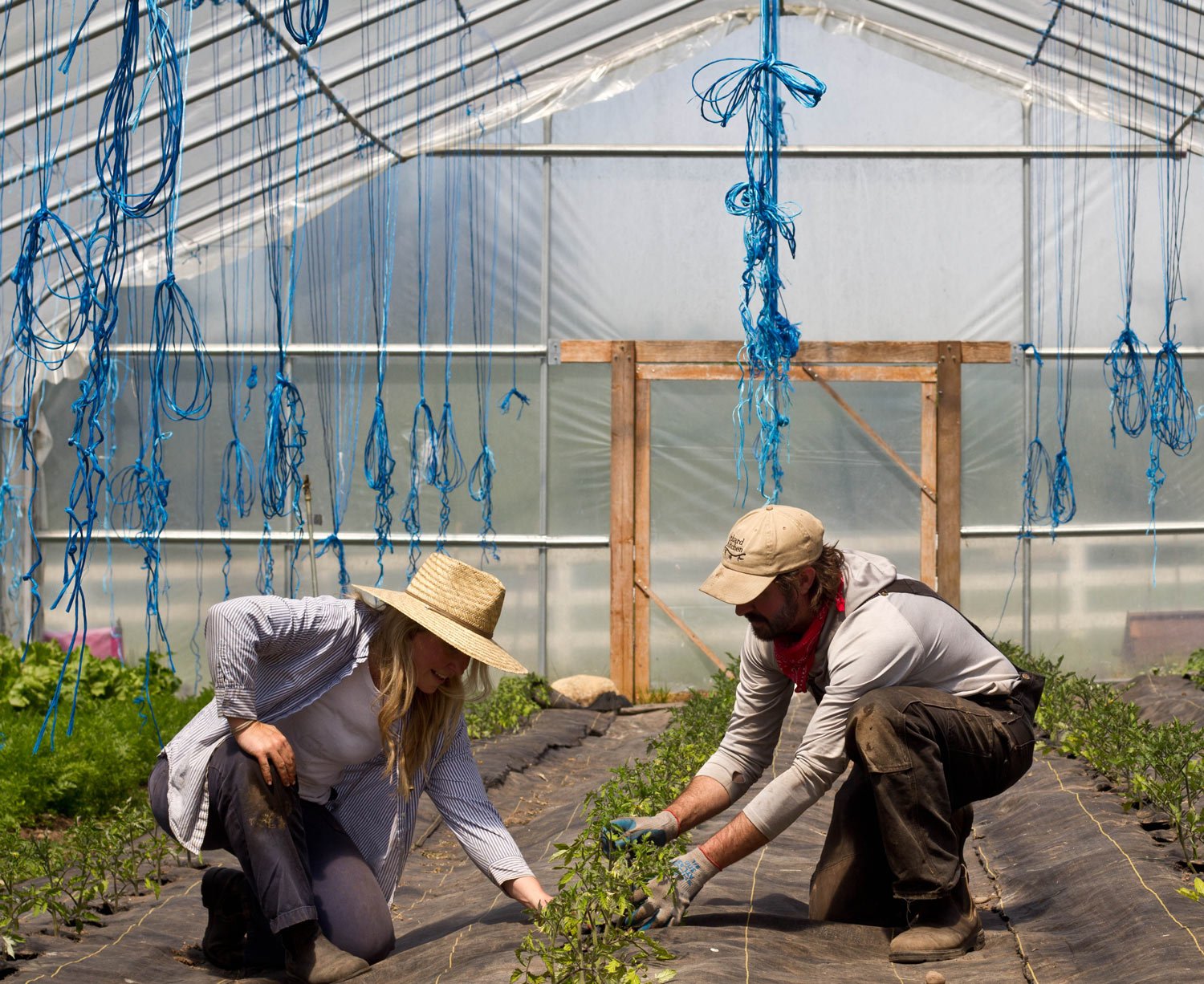 Patrick Moote and Sarah McArthur working in garden