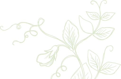 leafy vines vector graphic