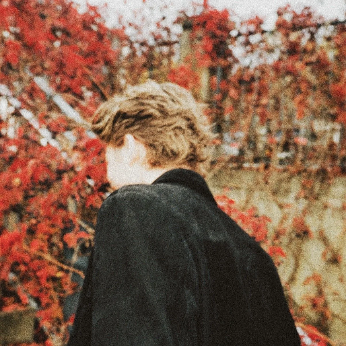 Ny EP