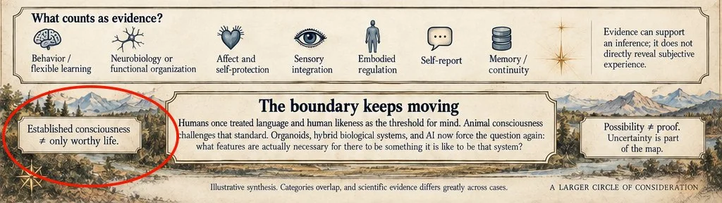 Detail: Established consciousness does not equal only worthy life