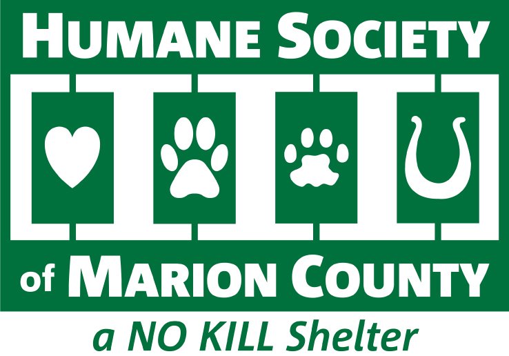 Charity 13