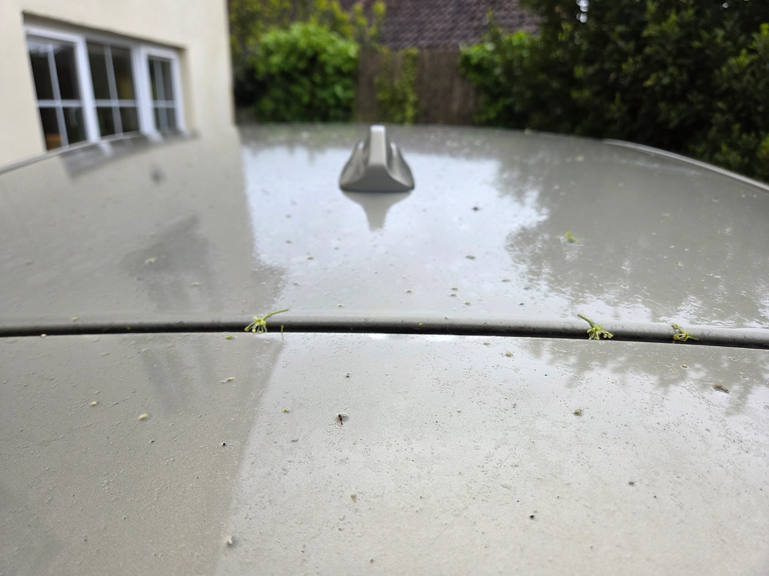 Before Paint Correction