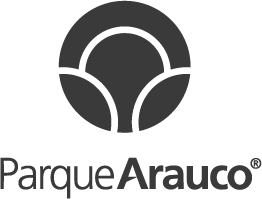 Parque Arauco