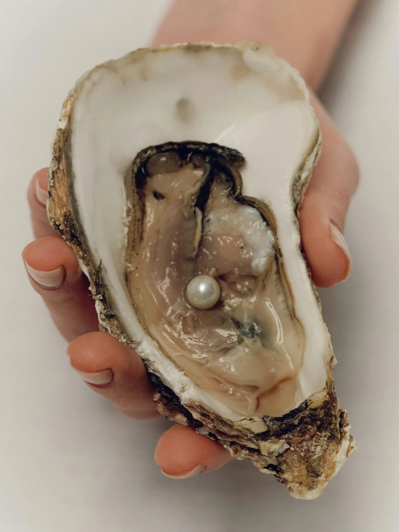 Oyster shell with pearl