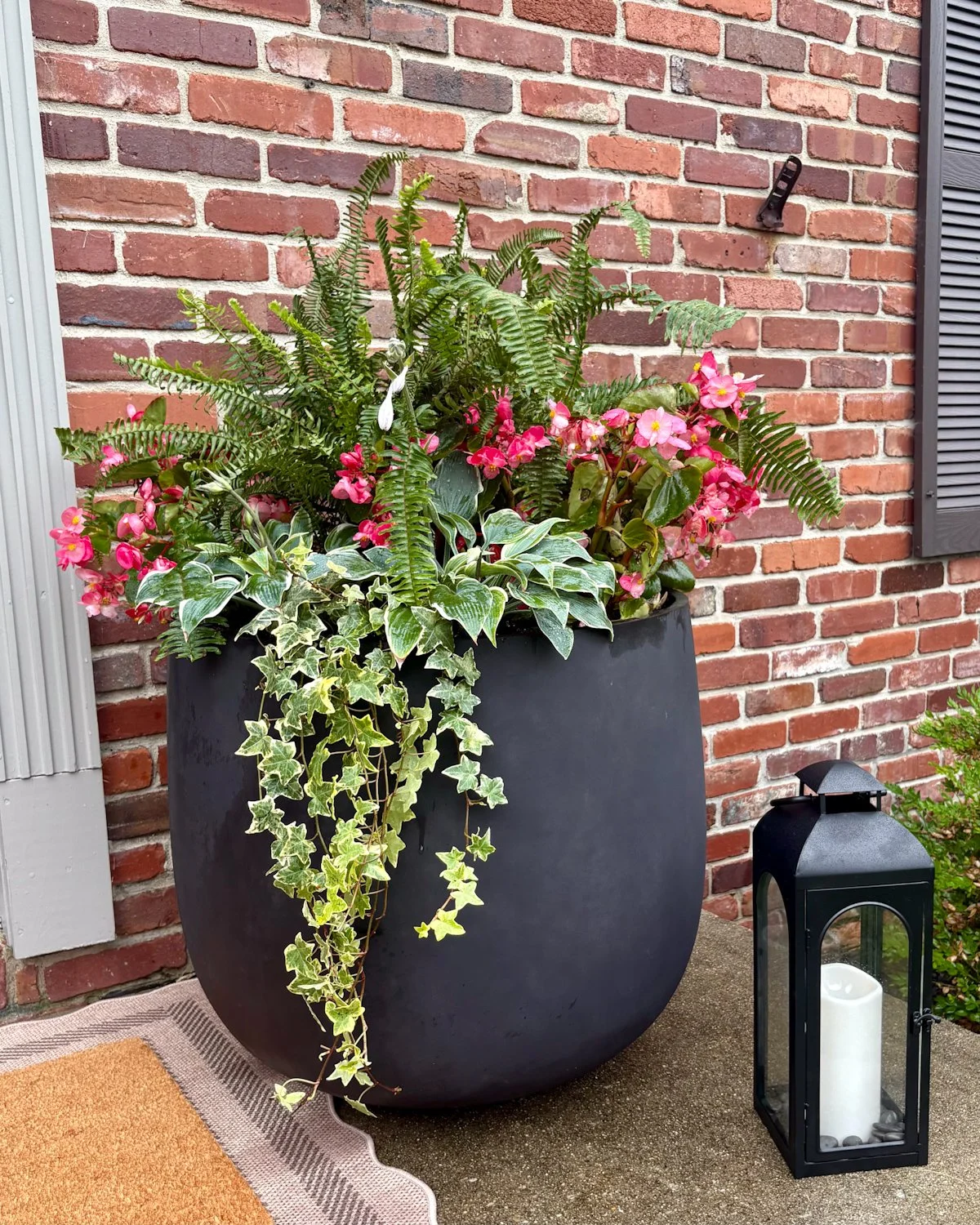 Professionally designed seasonal flowers in an outdoor container