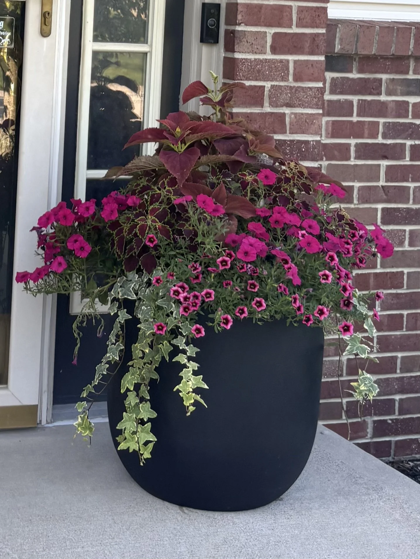 Custom container garden designed and installed by Curated Entry Co.