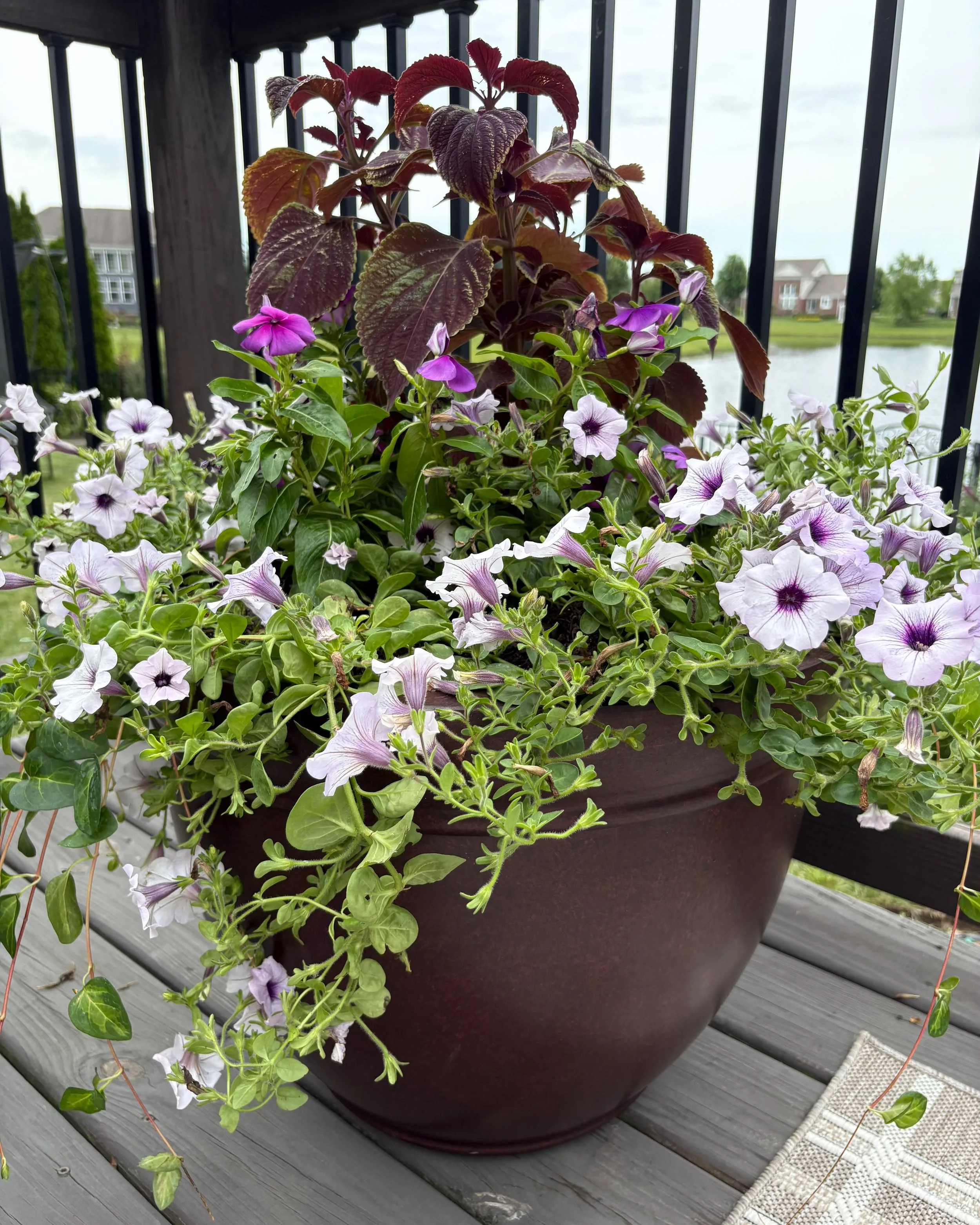 Custom seasonal planter with layered flowers and foliage