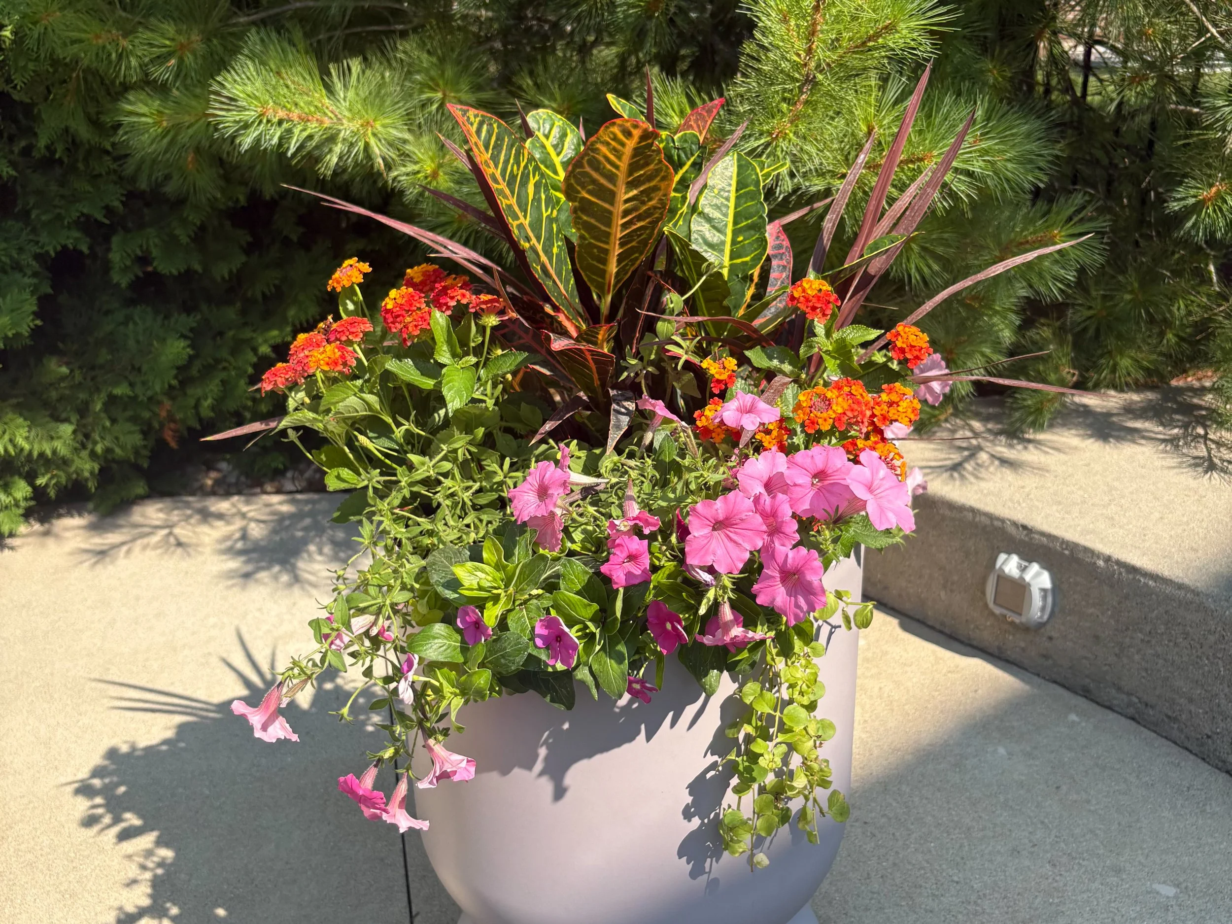 Custom seasonal planter design